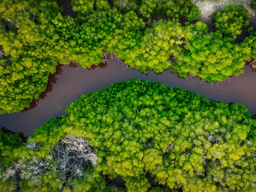 Entre progrès et nouvelle illusion, les Droits de la&nbsp;Nature